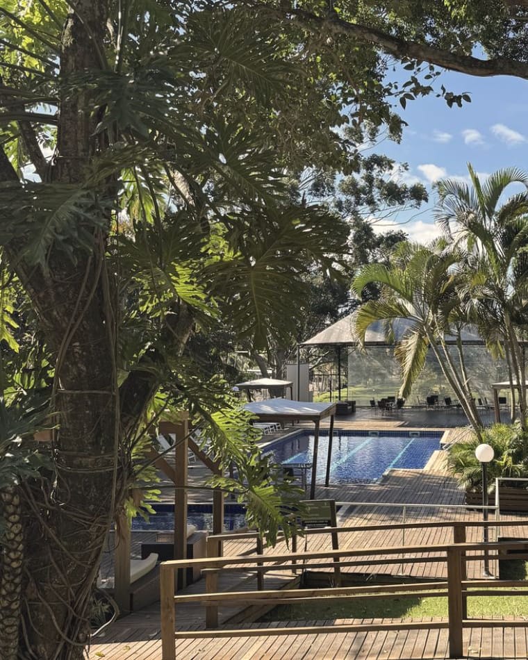 The OceanoMare Eco Hotel pool seen through the trees